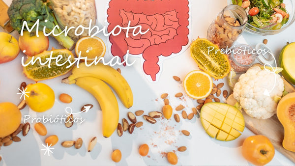 Taller Microbiota Intestinal Edición Diciembre 2025